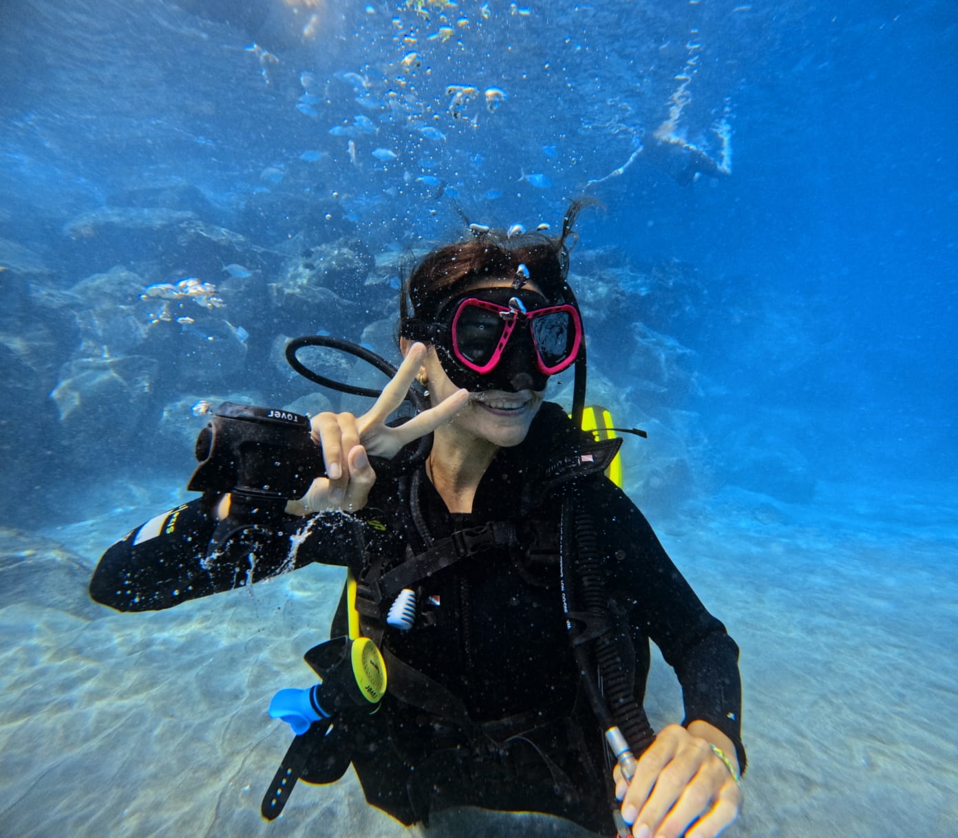 🌊 Ocean Adventures Daily! | ¡Aventuras Marinas Diarias!