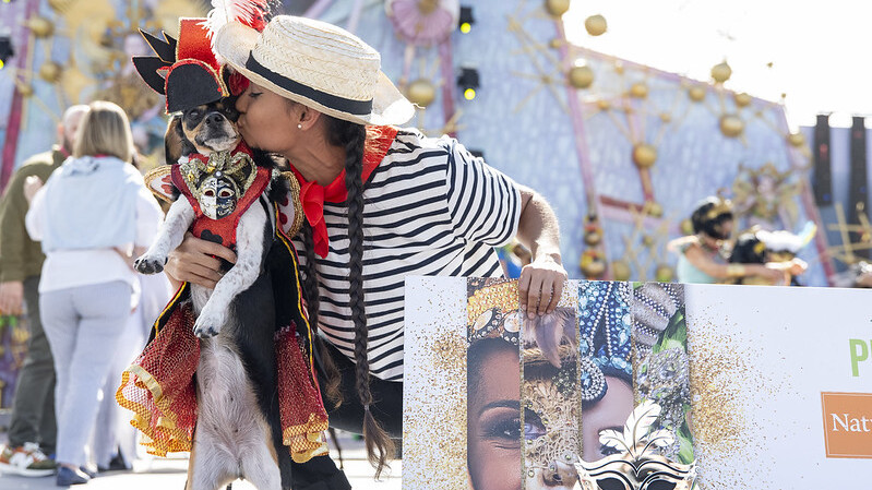 CARNAVAL-CANINO Las Palmas