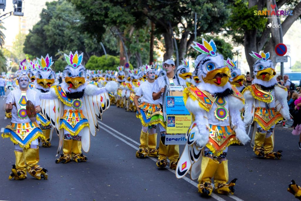 Il programma del carnevale di Tenerife 2024 a febbraio e i principali eventi con storia, spiegazioni e foto.