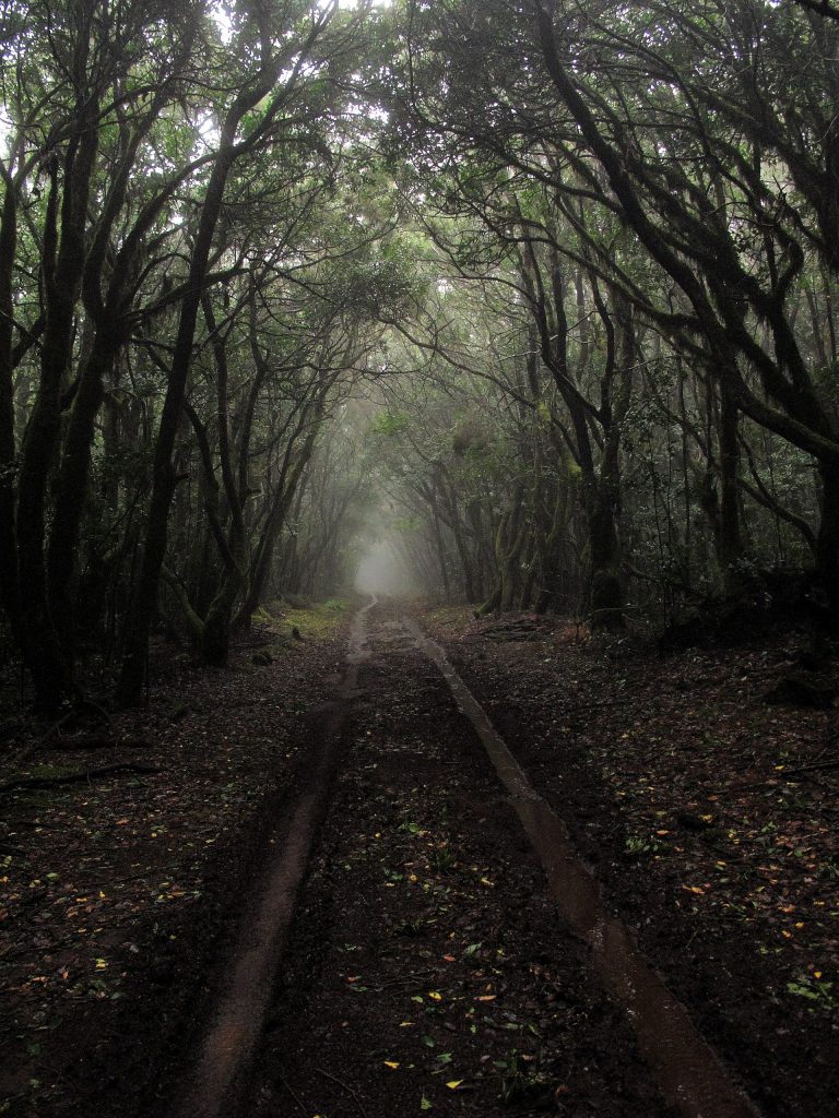 La Gomera randonnée, pêche, nature, plages...