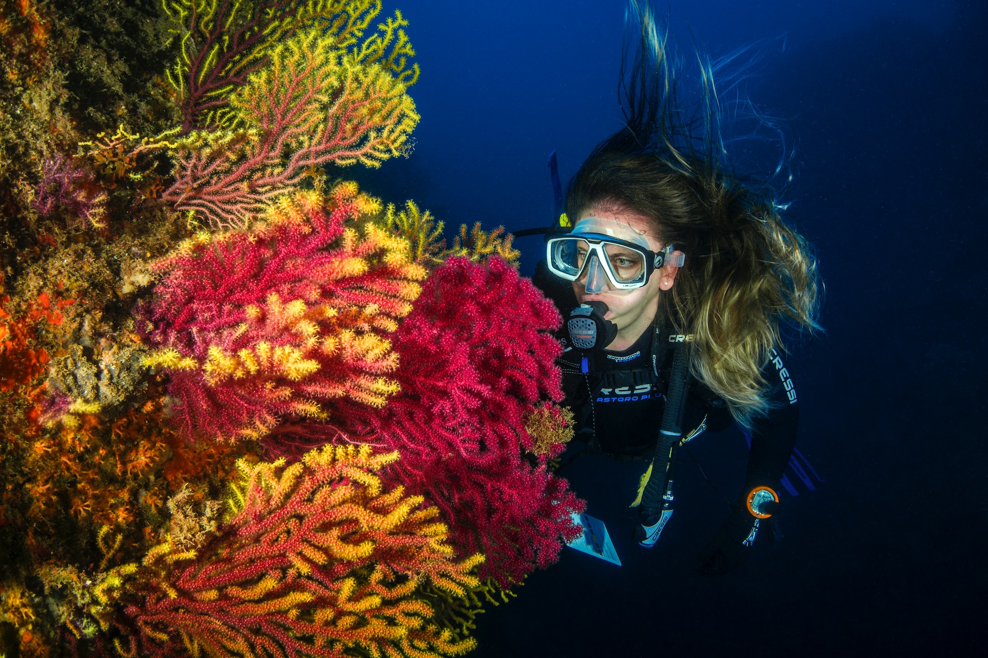 Sumérgete en el paraíso: Explora el fascinante mundo submarino de Tenerife con el buceo!