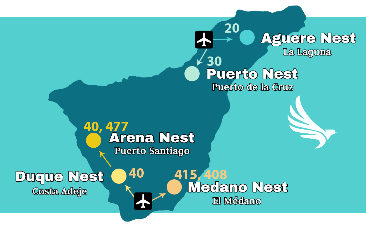 Autobús desde el aeropuerto sur y norte Conectividad Tenerife