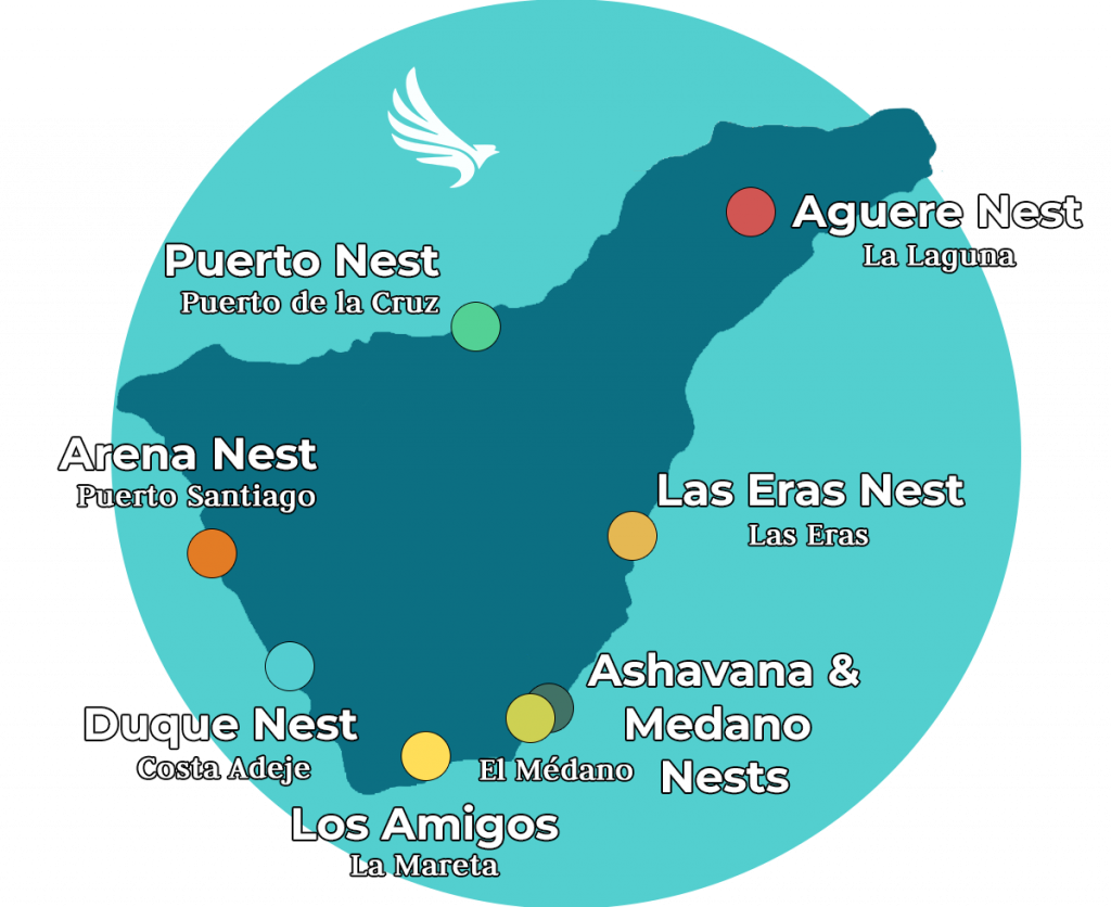 Nests Hostels chain in Tenerife