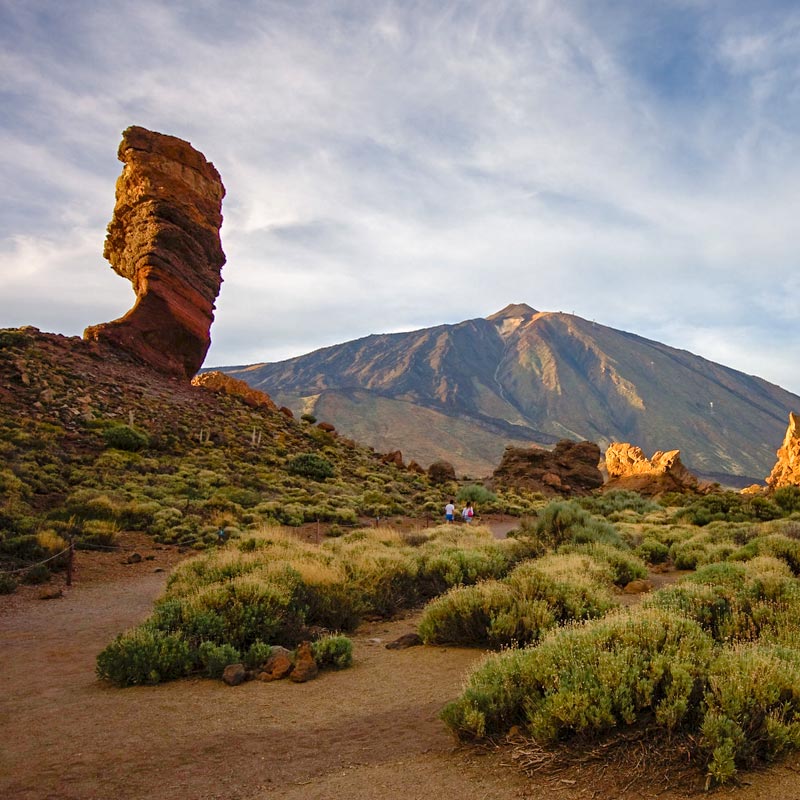 Nest Hostels Tenerife Parque Teide