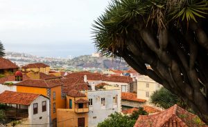 La Orotava Tenerife North