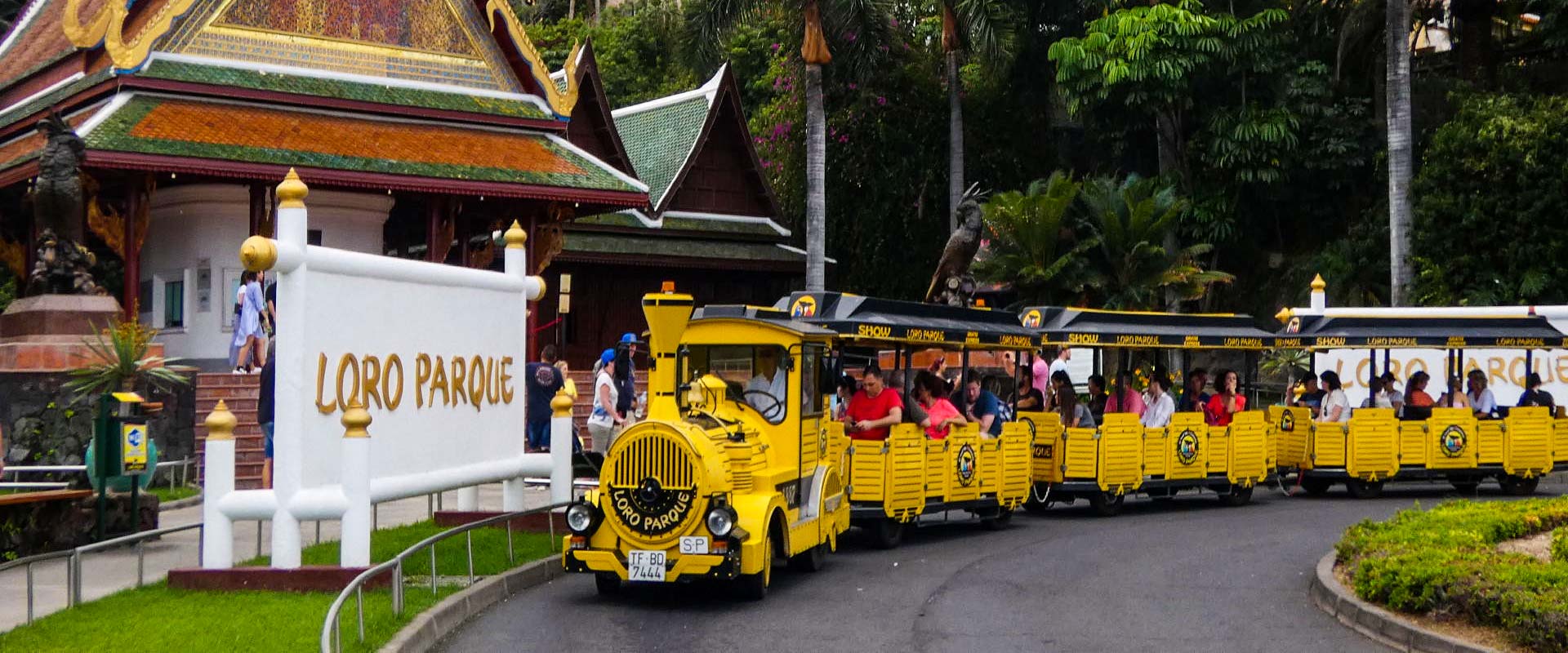 Loro Parque – Para amantes de los animales