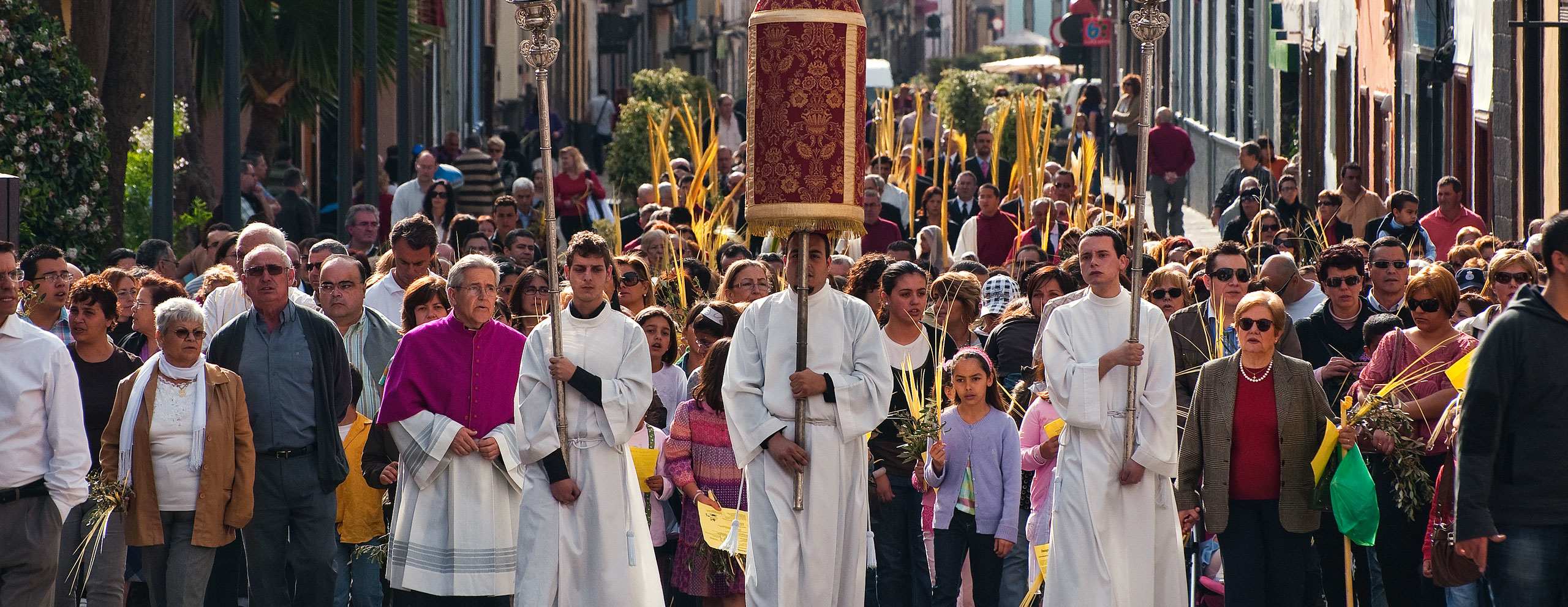 Oferta: Semana Santa y las vacaciones de primavera en Tenerife! 🌼🏄‍♂️