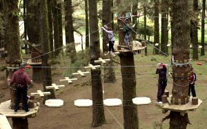 tenerife santa cruz forestal park