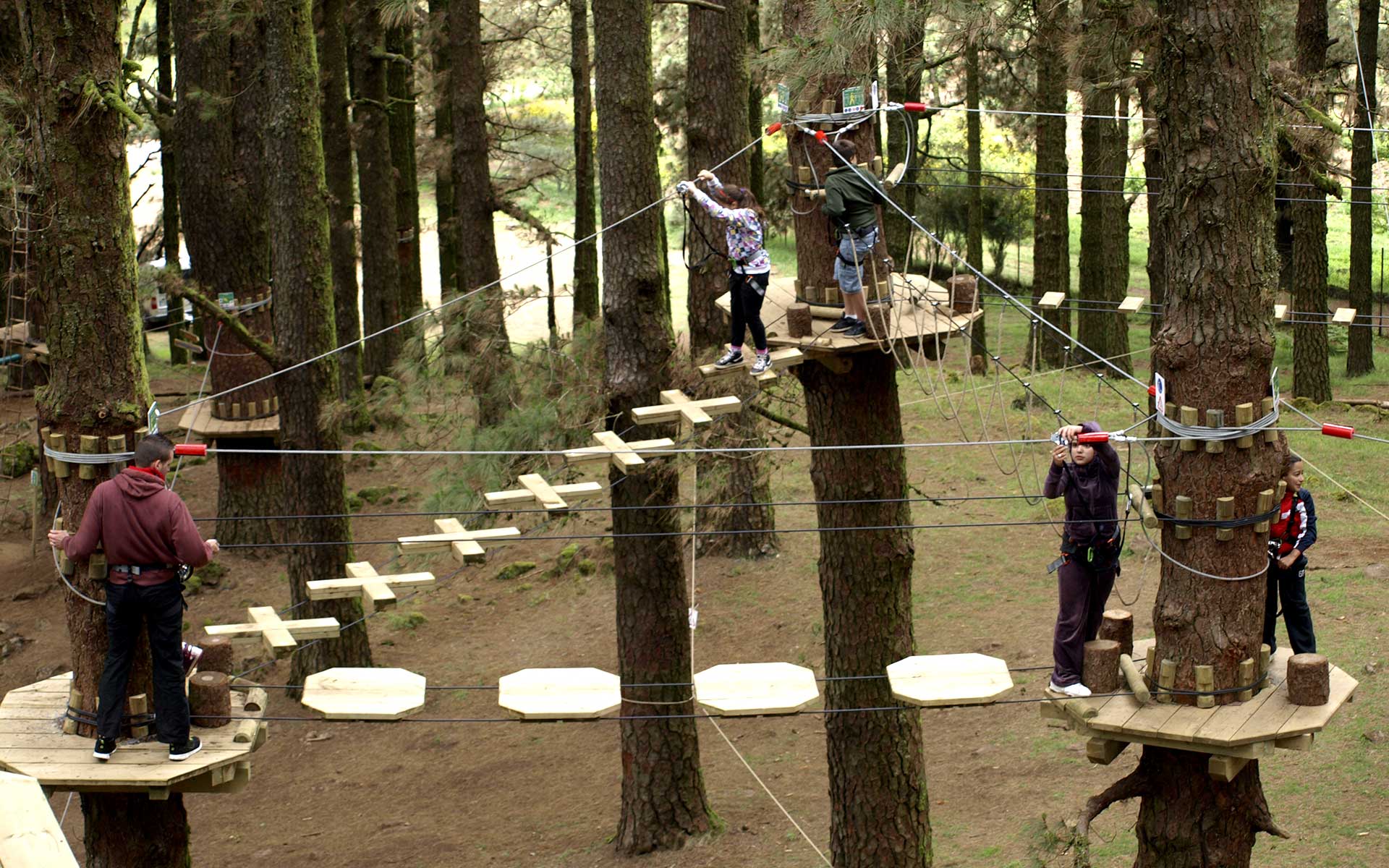 Tenerife Forestal Park – Teide National Park