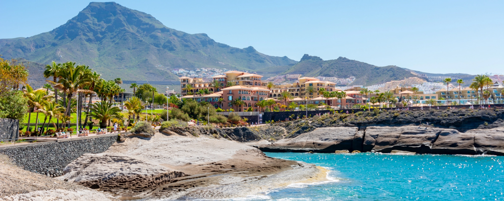Whale watching on a catamaran in Costa 
Adeje, South Tenerife