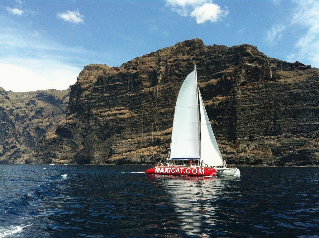 Whale, dolphin watching on a catamaran in Costa Adeje, South Tenerife